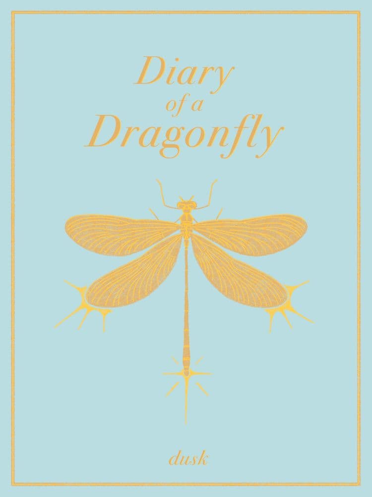 Diary of a Dragonfly cover