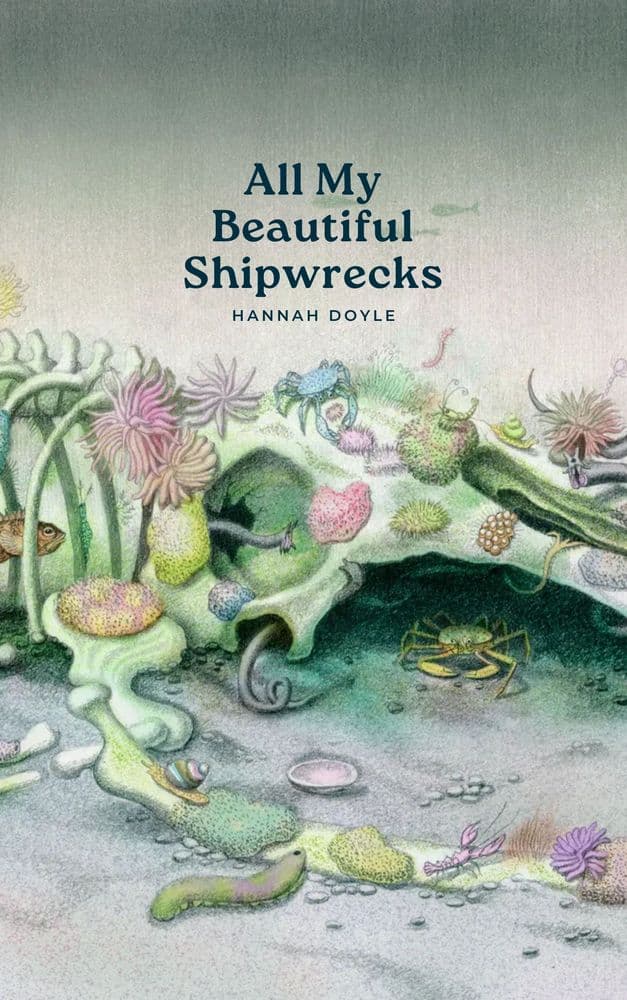 All My Beautiful Shipwrecks cover