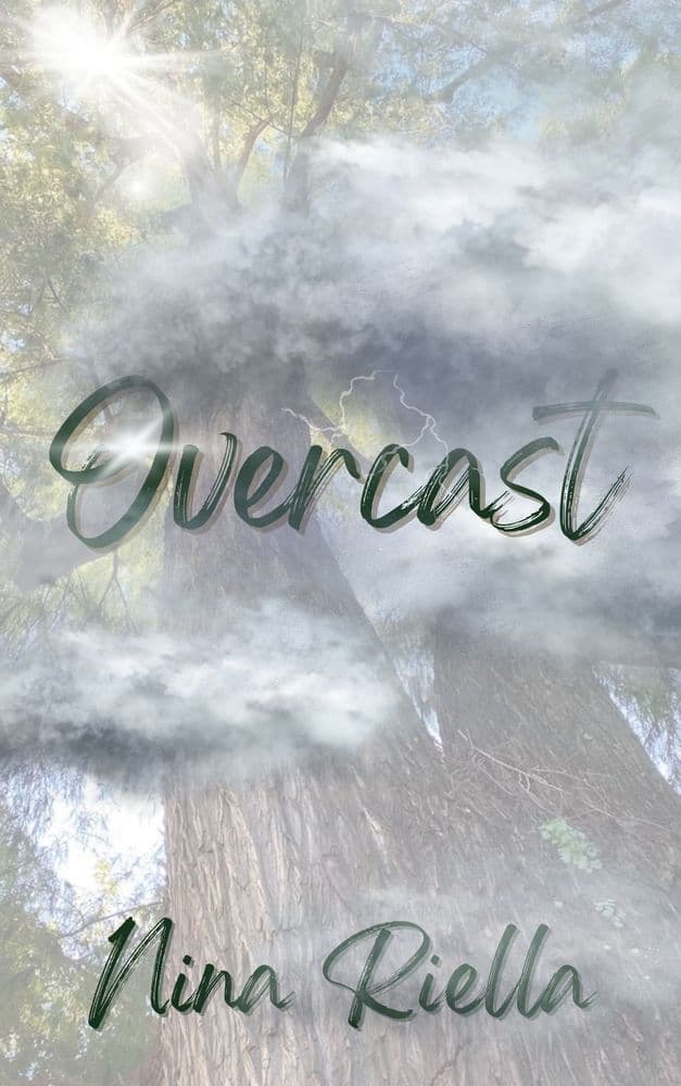 Overcast cover