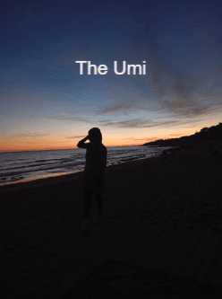 The Umi cover