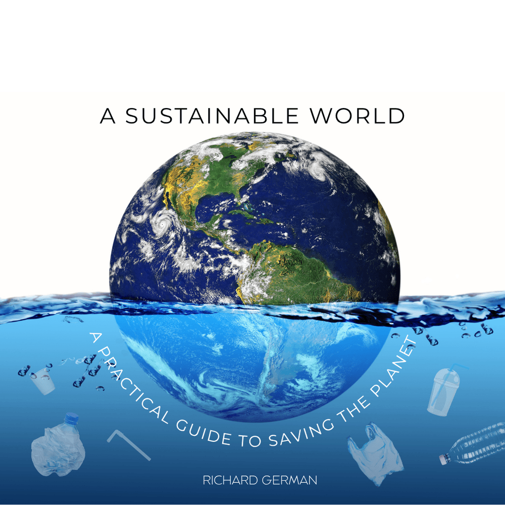 A Sustainable World cover